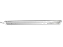 Fluorescent Light